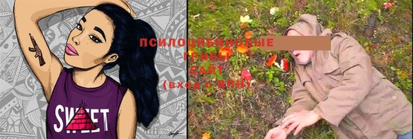 скорость Мегион