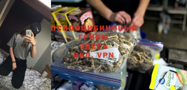 стаф Медвежьегорск